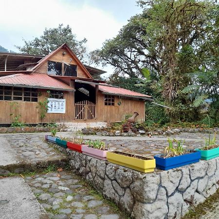 Mindo Loma Bird Lodge Buitenkant foto