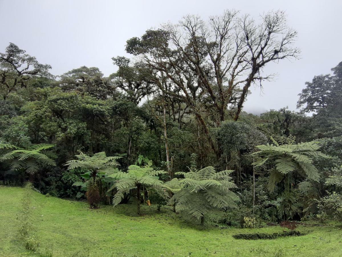 Mindo Loma Bird Lodge Buitenkant foto